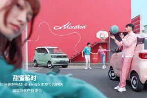 2022五菱宏光MINI EV仙女车友会合肥站暨年终客户答谢会活动方案（PPT）