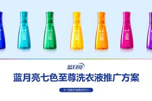 蓝月亮洗衣液X美柚平台新品推广方案（PPT）