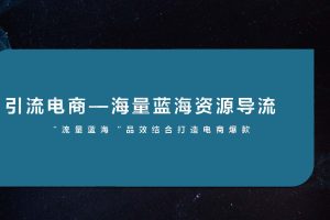 “流量蓝海“品效结合打造电商爆款（PDF）