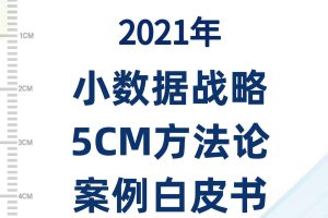 2021年小数据战略白皮书（PDF）