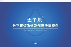 母婴奶粉品牌太子乐年度数字营销沟通及创意传播规划（PDF）