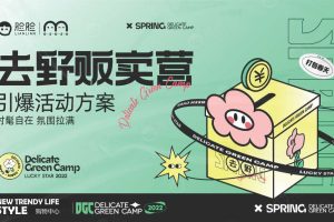 2022脸脸去野贩卖营引爆活动方案（PDF）