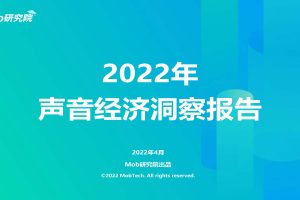 2022年声音经济洞察报告（PDF）