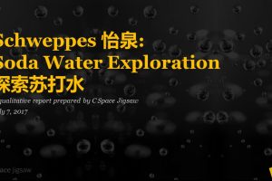 Schweppes怡泉苏打水市场调研反馈报告（PPT）