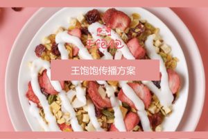网红代餐品牌王饱饱种草营销方案（PPT）