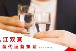 白酒品牌九江双蒸抖音代运营策划方案（PDF）
