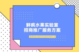 鲜疯水果实验室餐饮加盟推广方案（PPT）