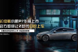 2020小鹏P7新车推广哔哩哔哩营销案例(PDF)