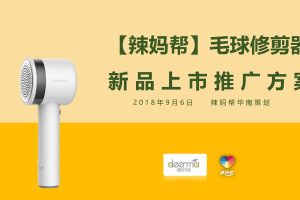 德尔玛毛球修剪器新品上市辣妈帮平台推广方案（PDF）