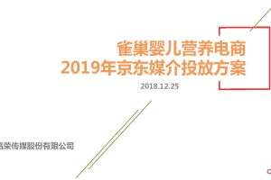 雀巢婴儿营养电商-京东媒介投放方案（PDF）
