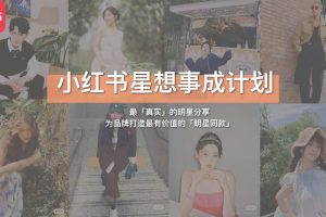 小红书星想事成计划2.0营销通案（PDF）
