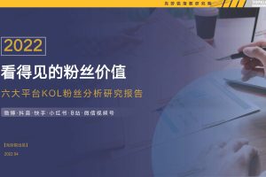 2022年看得见的粉丝价值-六大平台KOL粉丝分析研究报告（PDF）