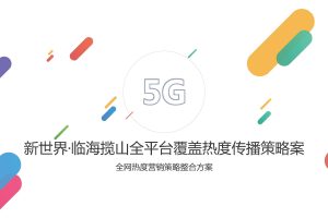 新世界临海揽山地产全网热度社会化整合营销方案（PDF）