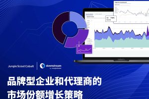 品牌型企业和代理商市场份额增长策略（PDF）