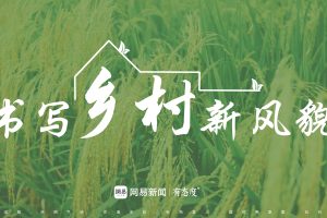 网易新闻“书写乡村新风貌”-乡村振兴策划方案（PDF）
