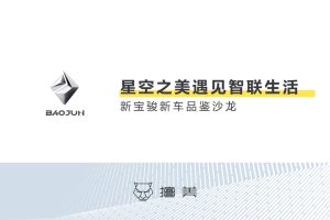 宝骏汽车新车品鉴沙龙活动策划方案（PPT）
