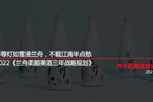 2022兰舟果酒品牌三年战略规划方案（PDF）