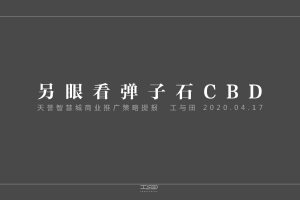 天誉智慧城商业公寓推广策略方案（PDF）