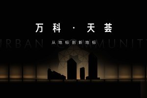 2021成都万科·天荟综合体及公寓推广方案（PDF）