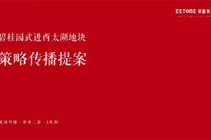 武进碧桂园2020整合营销推广方案（PDF）