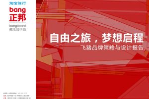 飞猪在线旅游品牌策略与设计方案（PDF）