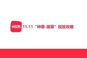 小红书11.11种草-拔草广告投放攻略（PDF）