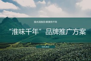 “淮味千年”淮安市农产品品牌推广方案（PPT）