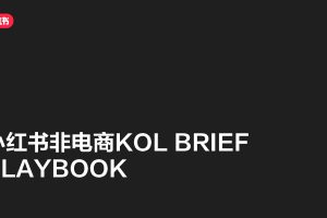 小红书非电商KOL BRIEF PLAYBOOK 品牌方如何下brief（PDF）