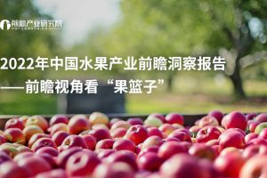 2022年中国水果产业前瞻洞察报告-前瞻产业研究院（PDF）