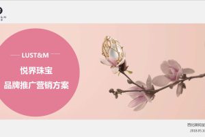 LUST&M悦界珠宝品牌种草营销推广方案（PDF）