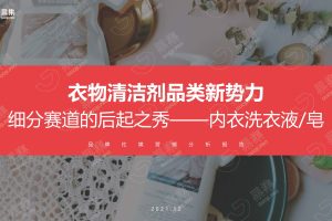 2021年内衣洗衣液皂行业社媒营销分析报告（PDF）