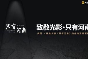 2021美团 × 建业文旅《只有河南》 目的地营销项目(DTA报奖)(PPT)