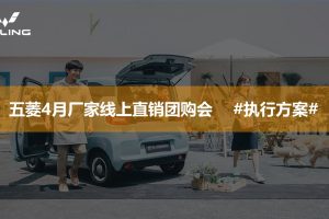 2021五菱汽车厂家线上直销团购会直播活动执行方案（PPT）