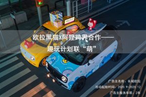 长城汽车欧拉黑猫X阿狸IP跨界合作营销方案（PPT）