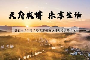 2020地区丰收节暨党建引领乡村振兴高峰论坛活动策划方案（PDF）