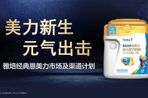 母婴奶粉品牌雅培经典恩美力市场及渠道计划方案（PDF）