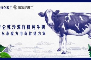 特仑苏 X 京东小魔方2021沙漠有机牛奶新品上市电商营销方案（PDF）