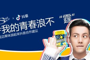 炫迈口香糖2019抖音短视频营销方案（PPT）
