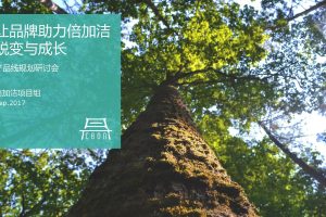 倍加洁口腔护理品牌产品线规划构筑方案（PDF）