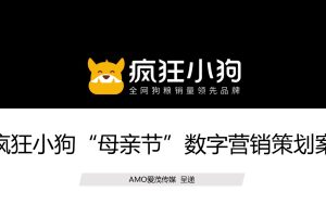 宠物食品品牌疯狂小狗母亲节传播方案（PPT）