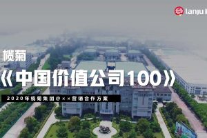 2020榄菊集团x搜狐财经《中国价值公司100》内容营销方案（PDF）