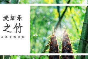 2021食品竹笋饼干之竹品牌策略全案（PDF）