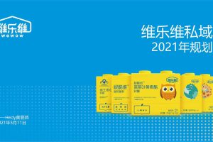 2021维乐维保健品维生素软糖私域运营规划方案（PDF）