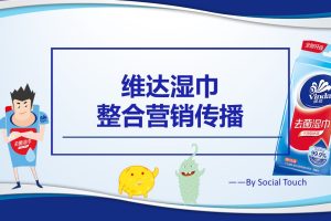 维达湿巾整合营销创意传播方案（PPT）