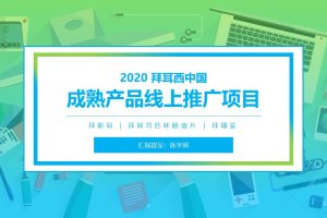 医药品牌拜耳西中国2020成熟项目低成本推广方案（PPT）