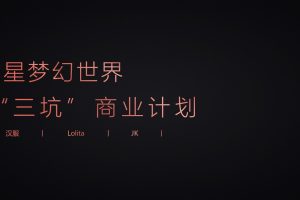 2021星梦幻世界购物中心“三坑”文化商业定位策略方案（PPT）