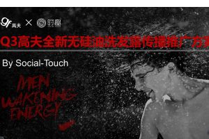 高夫无硅油洗发露新品上市传播策略和IDEA推导方案（PPT）