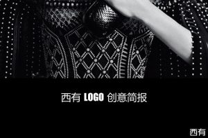 西有APP LOGO创意简报（PPT）