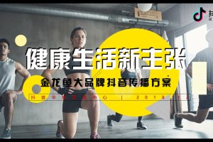 金龙鱼食品油品牌抖音传播方案（PPT）
