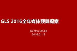 美妆品牌资生堂2016年度预算策略及分配方案（PPT）